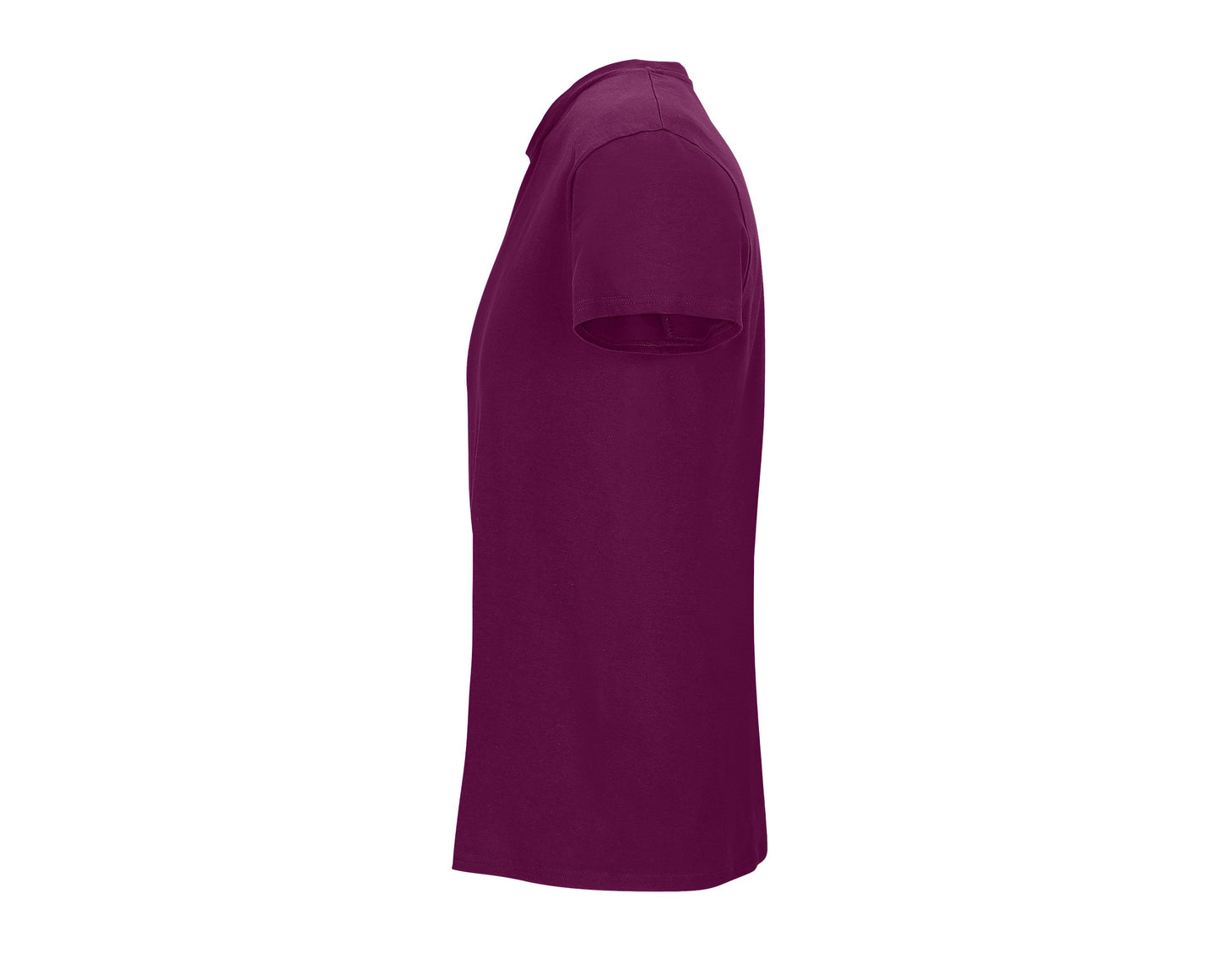 Crusader Homme