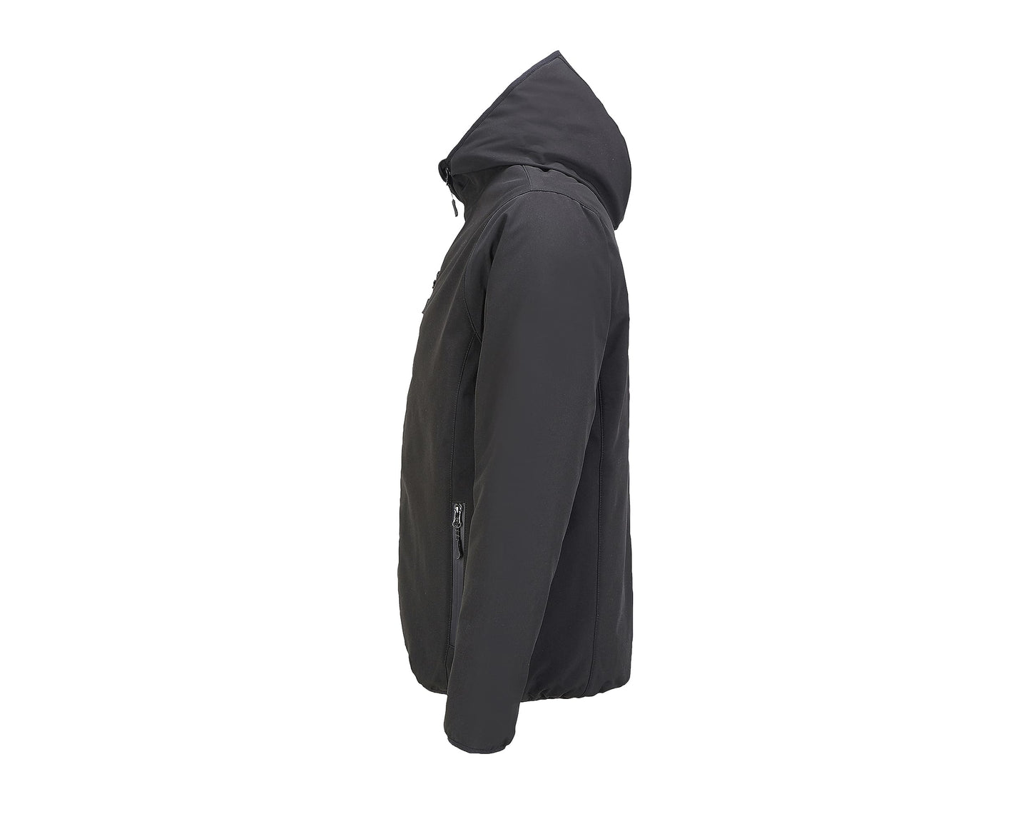 Falcon Padded